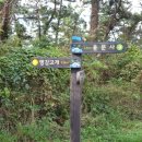 봉성약국 이미지