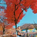 포천시 환경자원센터 | [달고양이 국내여행] 보보경심려, 화유기 등을 찍었던 경치좋은 곳 - 포천 아트밸리