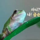 금순이농장 이미지