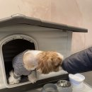 라온하제2호 | 강남 라온하제 혼주 한복 - 상담 및 계약 후기