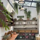 홍길동목장 이미지