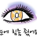 클라라아이래쉬