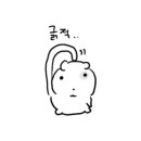 남광주 종로약국 이미지