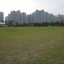 율하체육공원 축구장 이미지