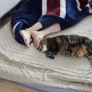 두용전기 네이버블로그