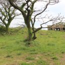 진규목장 이미지