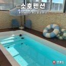 소호로 | 영흥도 독채 풀빌라 소호펜션 대가족 9명 가족여행 후기