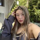 슈브로 이미지