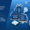 행정사사무소 수 이미지