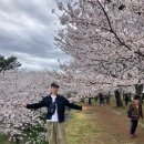 인천무형문화재 전수교육관 3 (옥내1) | 26.3.31 경남 사천 선진리성 벚꽃 개화 상황. 축제 및 주차 정보. 먹거리 정보.