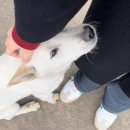 은해 농장 이미지