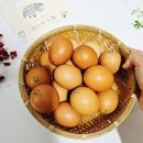 홍천자연랜드 이미지