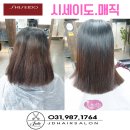 생활헤어커트 | 구래동미용실커트 유목민 생활 끝내고 제이디헤어에서 인생 머리 찾은 솔직 후기