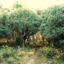 별빛품은 바다 이미지