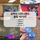 카페앤디디 | 상하이 디즈니랜드 꿀팁 10가지 | 직접 다녀와서 느낀 준비물·동선 팁·혼잡도·디디택시 타는곳까지!