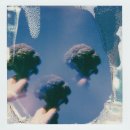 동안을 유지 시켜주는 항노화 식품 10가지로 젊음 되찾기! 이미지