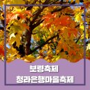 11월4일(일)오서산산행 & 은행마을관광 이미지