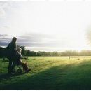 샤론방문요양센터 이미지