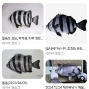 무지개목욕탕 | 양양 스노쿨링, 하조대 해수욕장, 하조대 샤워장, 주차장, 목욕탕 간 후기
