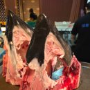 갈산역 1번 출구 | [인천 부평] 갈산역 참치 맛집 참치머리 해체쇼 | 갈산 대물참치 본참치