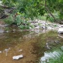 올래 캠핑장 이미지