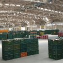 인지공판장 이미지