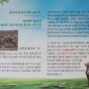 고성칡소곰탕