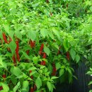 영양고등학교 이미지