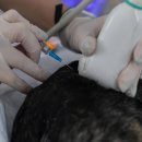 강남동물의료센터 이미지