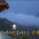 나나식당 이미지