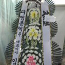 피엠폼텍