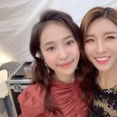 진달래 이미지