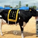 준이목장 이미지