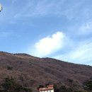 화순목장 | 아이와 함께라면 여기! 화순무등산양떼목장 체험후기 및 방문꿀팁!