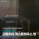 코인게스트하우스 | [히타] 고토히라 게스트하우스 유메산스이 노천탕 가족탕 솔직후기 │ 이용방법 총정리