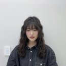 디어젤리 이미지