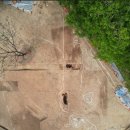 강진10호 이미지