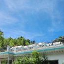 환희네 꿀벌농원 이미지