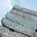 자동차주치의 닥터윤 이미지