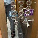 코티스 더 브릿지 이미지