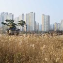 한강신도시호수공원 이미지