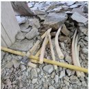 유진보일러설비 | 천안누수 천안 필수 인테리어, 내 집을 환하게