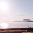 루마인;퍼즈;투썸플레이스제주루마인점 | 제주도 애견동반펜션 루마인펜션 일출이 보여요(수정: 이제 강아지 안된대용~~)