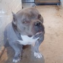 우소농장 이미지