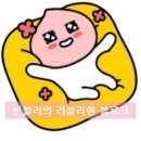크로디 | 신블리 구매후기) 크로디 천연 무향 섬유 유연제 & 천연 아기세제 추천!