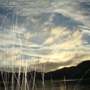 신전리해수욕장 이미지