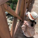 오음초병설유치원 이미지