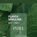 더스킨피부관리