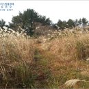 서호동-22 이미지