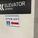 고은정 헤어